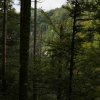 09 b Schluchensteig Etappe 4 - 6